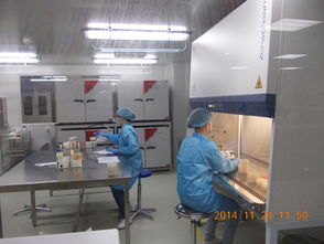 Intertek成功備案特殊食品驗證評價技術(shù)機構(gòu)，助推行業(yè)高質(zhì)量發(fā)展